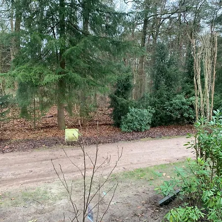 Chalet Maartje