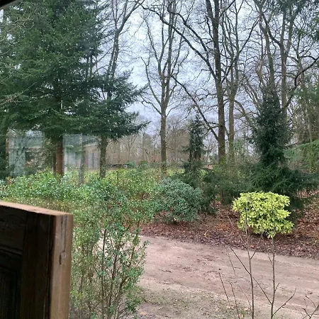 Chalet Maartje Chalé Heerde